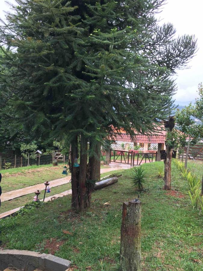 Casa De Campo Em Monte Verde , Linda Vista Para Montanhas Exterior photo